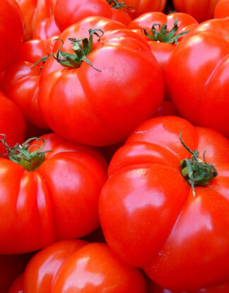 Tomates